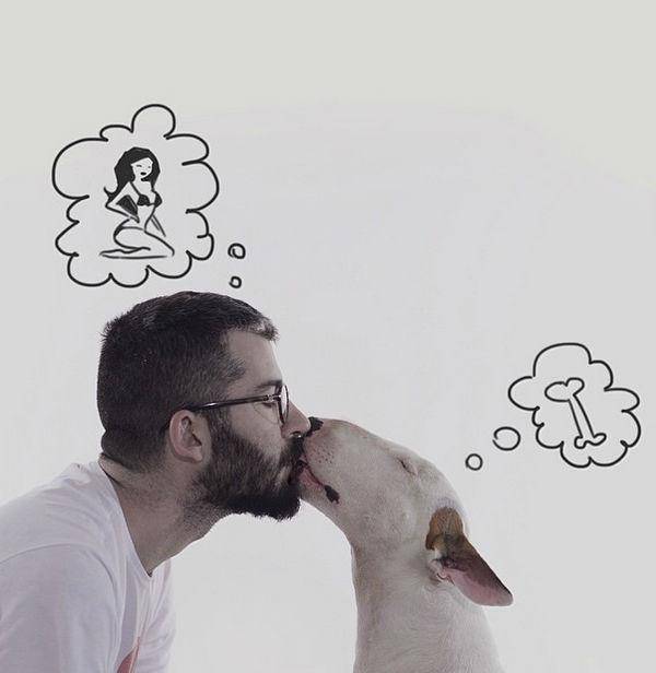 http://cdn.idntimes.com/content-images/post/old/bbade-Terrier9_boredpandacom.jpg