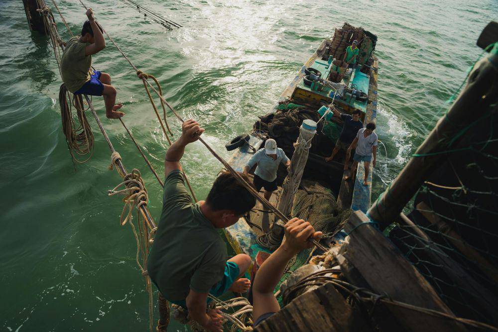 Ilustrasi menangkap ikan laut (pexels.com/Long Bà Mùi)