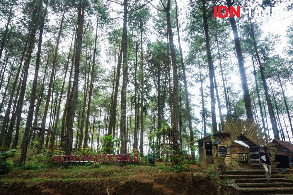 https://cdn.idntimes.com/content-images/post/20191220/idn-times-dhana-kencana-spot-foto-hutan-pinus-kalilo-purworejo-10-bedb4a2f09560fd3c2bb3f07f01d6aeb.jpg