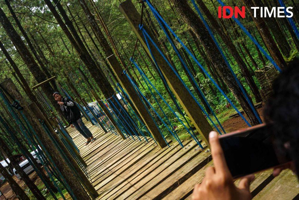 https://cdn.idntimes.com/content-images/post/20191220/idn-times-dhana-kencana-spot-foto-hutan-pinus-kalilo-purworejo-2-6475265a8299e24a869e226e9d150033.jpg