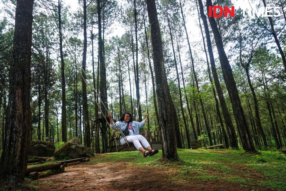https://cdn.idntimes.com/content-images/post/20191220/idn-times-dhana-kencana-spot-foto-hutan-pinus-kalilo-purworejo-3-8b0727481ea367df102d0a46609a2e6a.jpg