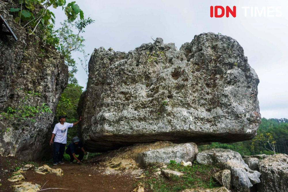 https://cdn.idntimes.com/content-images/post/20191220/idn-times-dhana-kencana-spot-foto-hutan-pinus-kalilo-purworejo-7-f0047b68f8eb7e093f31f086227772a0.jpg