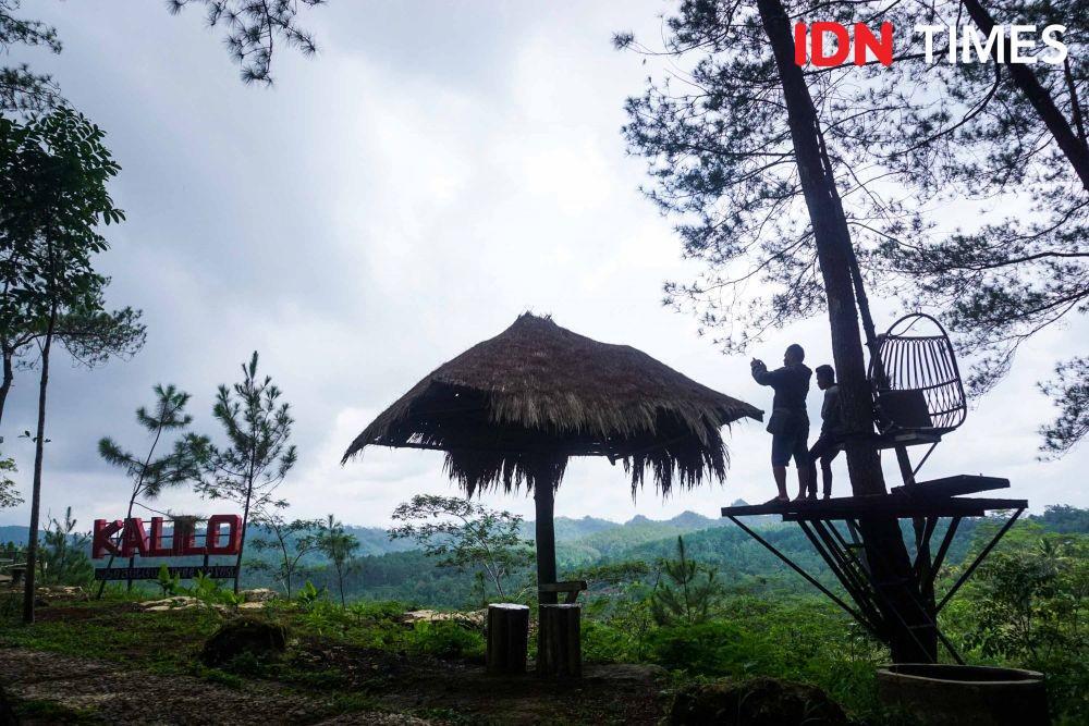 https://cdn.idntimes.com/content-images/post/20191220/idn-times-dhana-kencana-spot-foto-hutan-pinus-kalilo-purworejo-9-35ee03ee7d85242d30393643439a8b1a.jpg