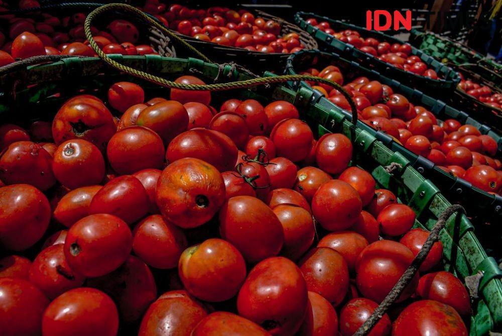 https://cdn.idntimes.com/content-images/post/20191013/lrm-export-25527086373065-20191013-153521123-compress97-cd5f36feb1465d83d41d7d1cbc1fd663.jpg