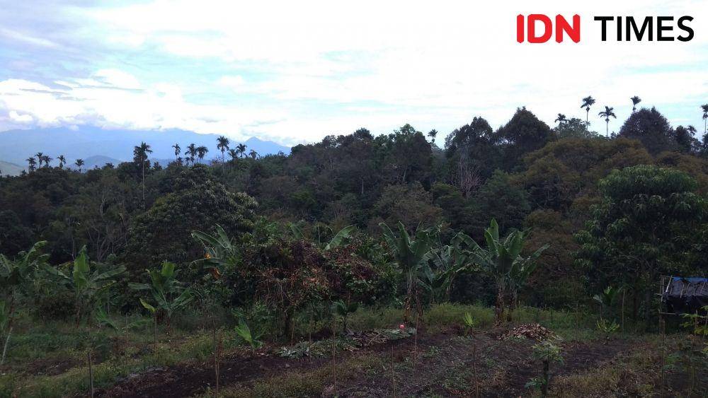 https://cdn.idntimes.com/content-images/post/20200829/monumen-tugu-radio-rimba-raya-3-daa55a2e742a57d88968d31cef51e53c.jpg