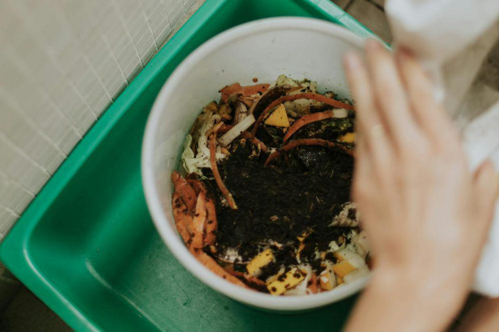 Dari Sampah Dapur! Begini Cara Bikin Kompos Super Gampang di Rumah