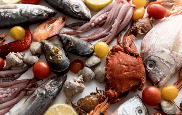 ilustrasi seafood (freepik.com/jcomp)