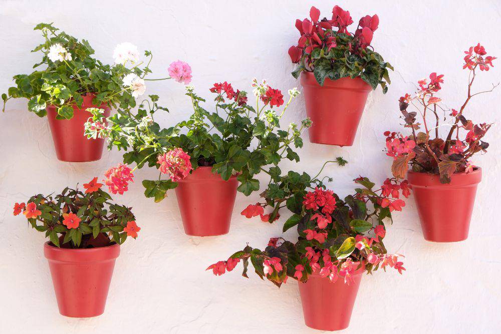 ilustrasi vertical garden (freepik.com/kstudio)