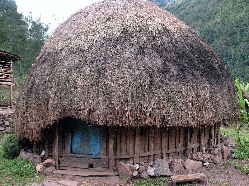 https://cdn.idntimes.com/content-images/post/20170816/800px-honai-papua-b00e837fadae8c42cc0a782dd6e68630.jpg
