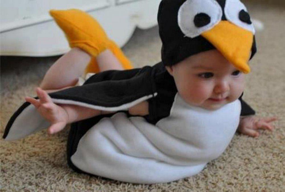 http://cdn.idntimes.com/content-images/post/20160603/baby11-aee1f34493c397bfa1ebb6fd3ac82ef5.jpg