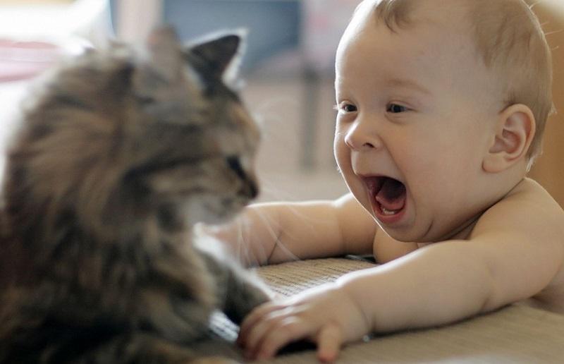 http://cdn.idntimes.com/content-images/post/20160603/baby12-9ae639c1283afa2b6cdaf3480e016f4b.jpg