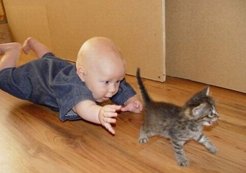 http://cdn.idntimes.com/content-images/post/20160603/baby15-57614e687db2e1e19cef41c49a689e56.jpg