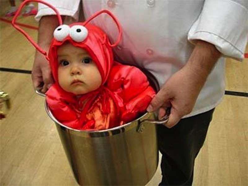 http://cdn.idntimes.com/content-images/post/20160603/baby17-4db7a06e7e83f7c2510e47064480627d.jpg