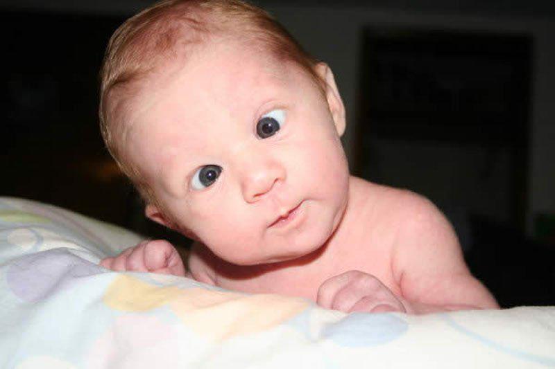 http://cdn.idntimes.com/content-images/post/20160603/baby21-c157161f959aff3879974ae84d17d5ee.jpg