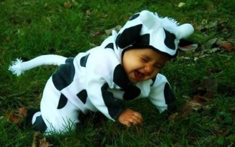 http://cdn.idntimes.com/content-images/post/20160603/babycow-d4165b760469b4b3371e061a802a4197.jpg