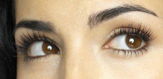 http://cdn.idntimes.com/content-images/post/20151023/enambelas.jpg