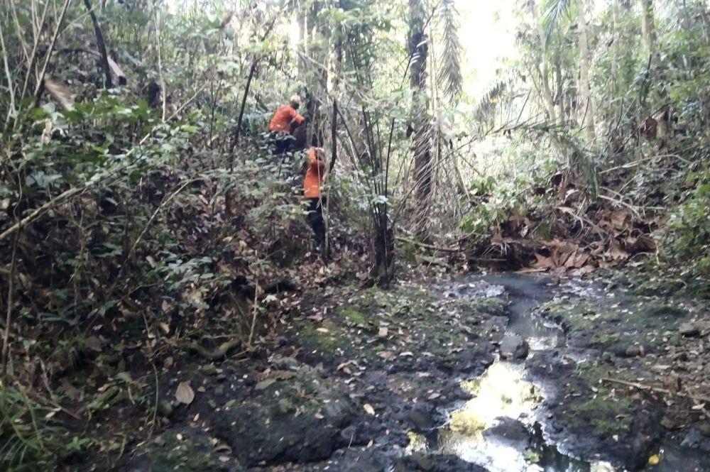 Operasi SAR pencarian lansia hilang di Jembrana (Dok.IDN Times/Basarnas Denpasar)