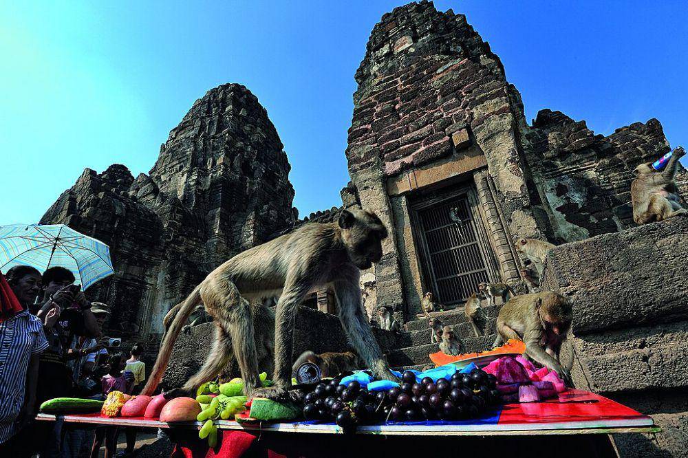 Kenapa Thailand Punya Festival untuk Monyet?