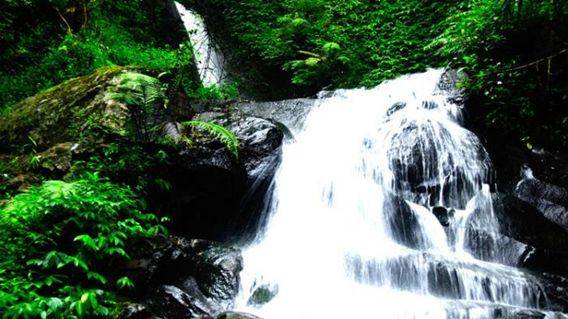 http://cdn.idntimes.com/content-images/post/20160112/lawean-tribunnews-699101fb34a365beed71183391d11109.jpg
