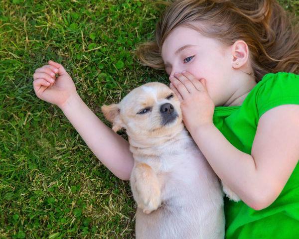 http://cdn.idntimes.com/content-images/post/20151230/merial-girl-dog-24860d3314b8d2e75e4b35a0fbab8dbd.jpg
