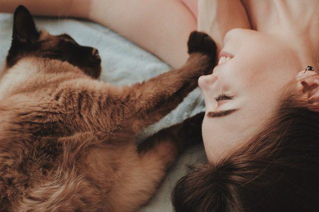 Bermodalkan Aroma, Ini Cara Kucing Mengenali Manusia