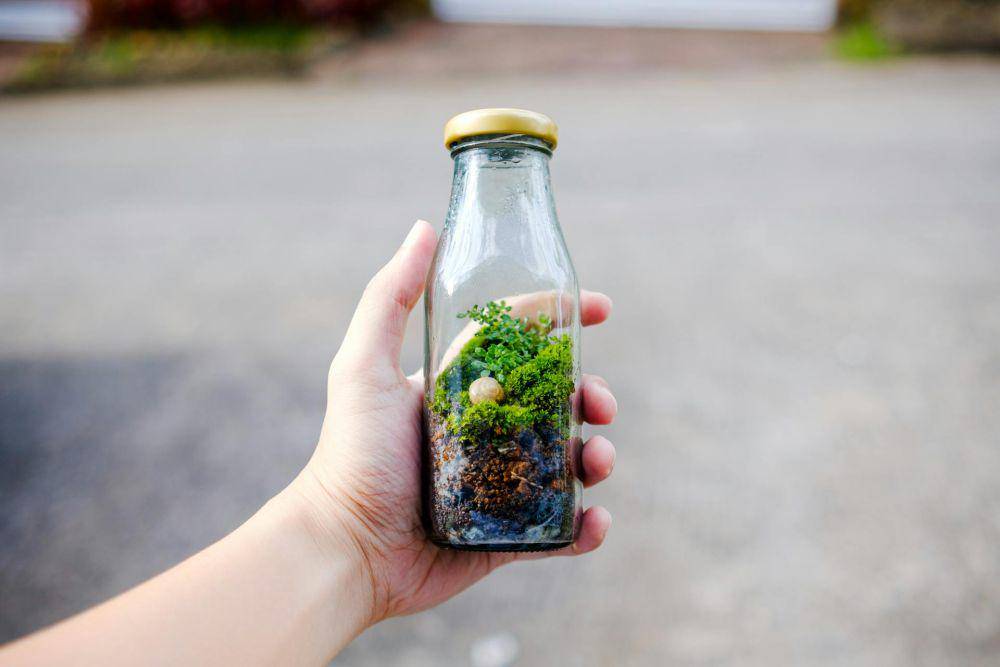 ilustrasi pot dari botol bekas (pexels.com/Jethro C.)