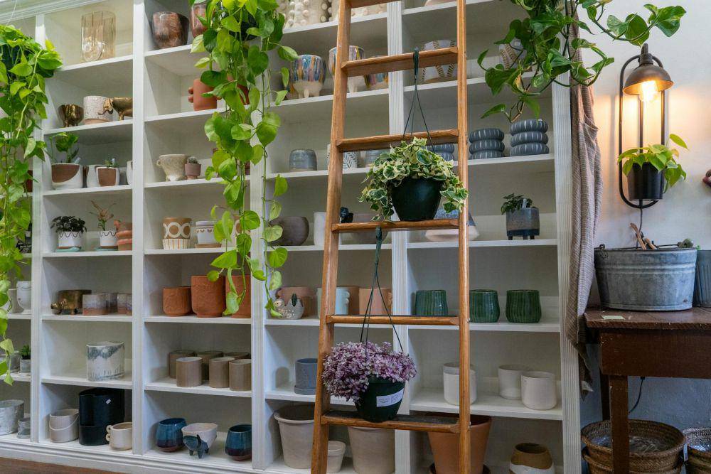 inspirasi pot tanaman di tangga kayu (pexels.com/Matthias Briz)