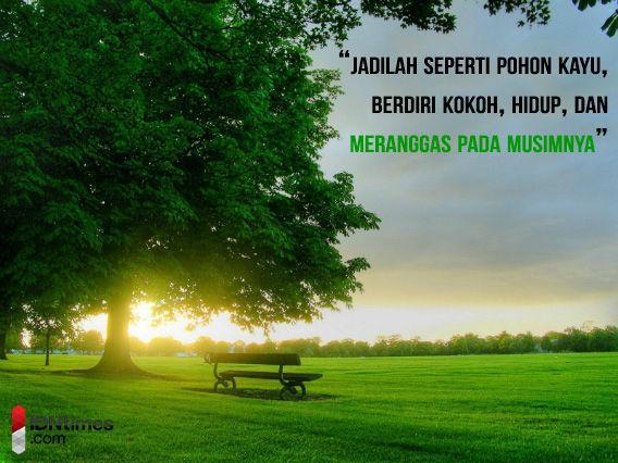 http://cdn.idntimes.com/content-images/post/20160109/poin23bijak-rindymanggalya-wordpress-co-ab8170c8d5333f341fdb42ea0b207e2e.jpg