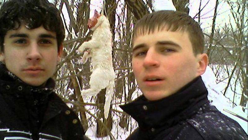 https://cdn.idntimes.com/content-images/post/20170131/poin26disturbing-5137e9e78ceed2fb512a8228c741b81f.jpg