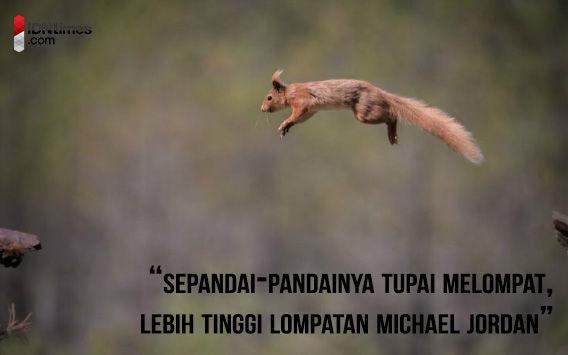 http://cdn.idntimes.com/content-images/post/20160109/poin6bijak-www-wallpaperup-co-e26e716c6dcf8a9ff36ffa4fdeabf7c6.jpg