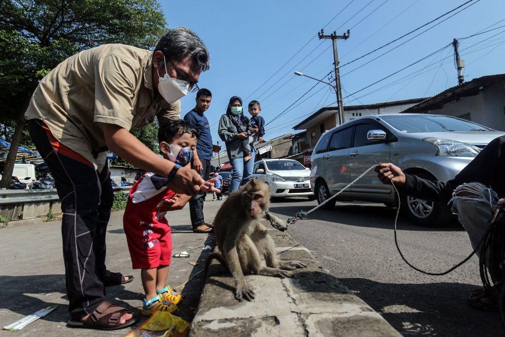 https://cdn.idntimes.com/content-images/post/20220507/rsz-1antarafoto-topeng-monyet-hibur-wisatawan-di-jalur-wisata-puncak-050522-ysw-4-c3047897dd606ddb80e1409b537e80a3.jpg