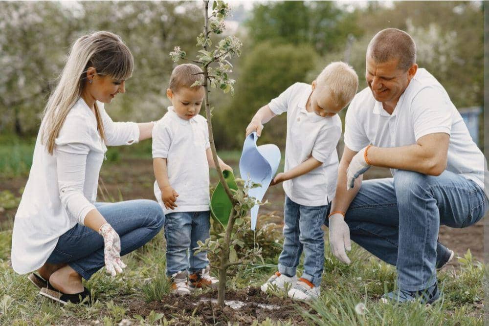 Berkebun di Rumah, Cara Sederhana Hidup Sehat dan Ramah Lingkungan