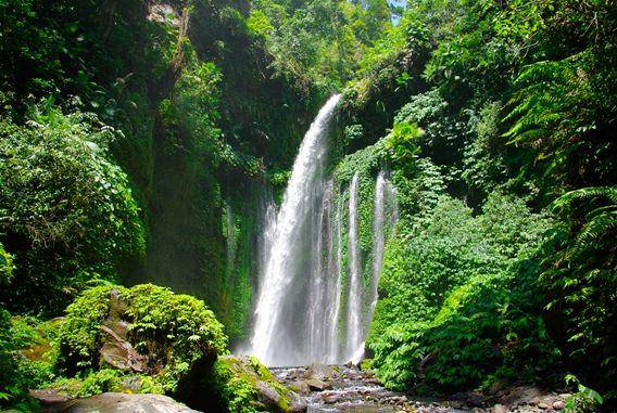 http://cdn.idntimes.com/content-images/post/20160112/sendang-garudawisatalombok-e264c9a0883c31bf0ccc4a337c310537.jpeg