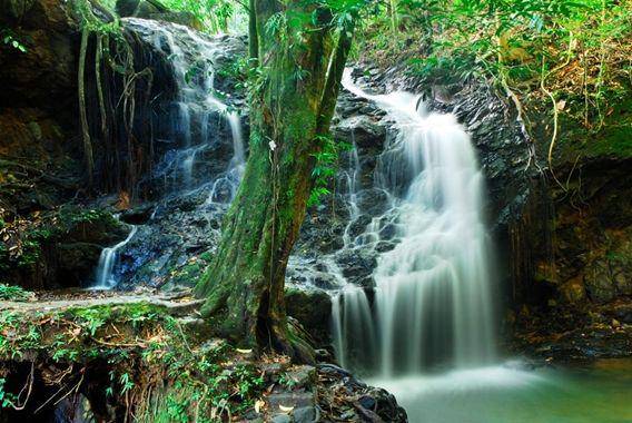 http://cdn.idntimes.com/content-images/post/20160112/tikalong-panoramio-4246fb234eafb043c6695db6b60d2f92.jpg