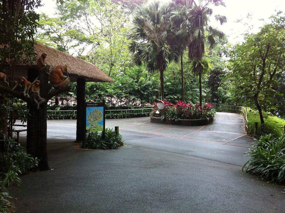 potret Singapore Zoo (commons.wikimedia.org/Rojypala)