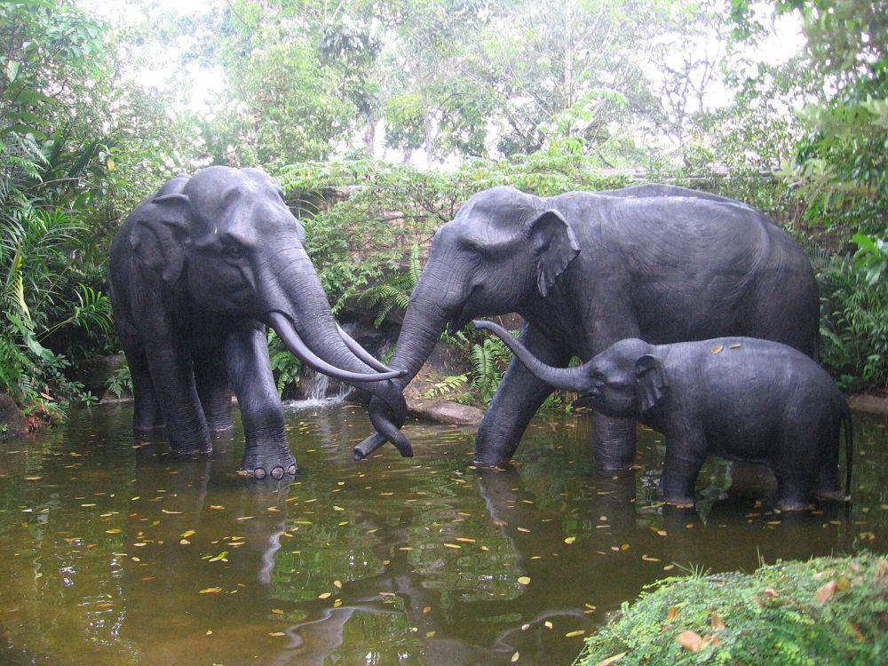 potret Singapore Zoo (commons.wikimedia.org/Mike384)