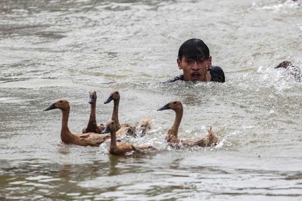 https://cdn.idntimes.com/content-images/post/20230624/antarafoto-lomba-tangkap-bebek-pada-perayaan-peh-cun-220623-fzn-2-11zon-85f6bd68af72a1553044e70d426a60d6.jpg