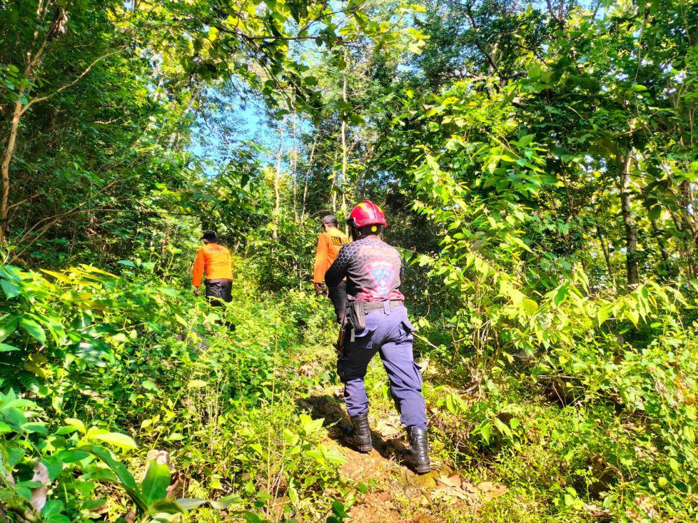 Hilang Semalaman di Hutan Jatirejo Imogiri, Lansia Ditemukan Selamat