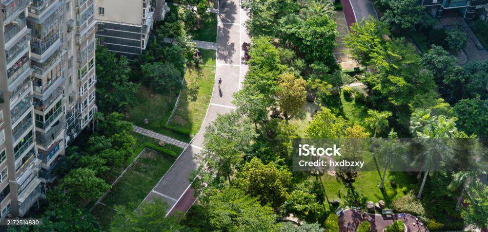 Ilustrasi ruang terbuka hijau. (Dok. iStock/hxdbzhy)