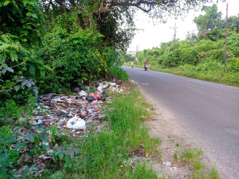 Gambar tumpukan sampah di pinggir jalan (Dokumentasi pribadi penulis)
