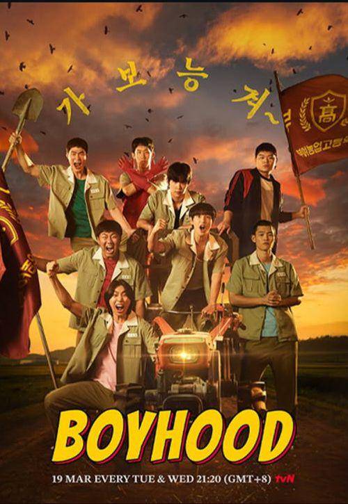 Poster Boyhood (Instagram.com/tvn.asia)
