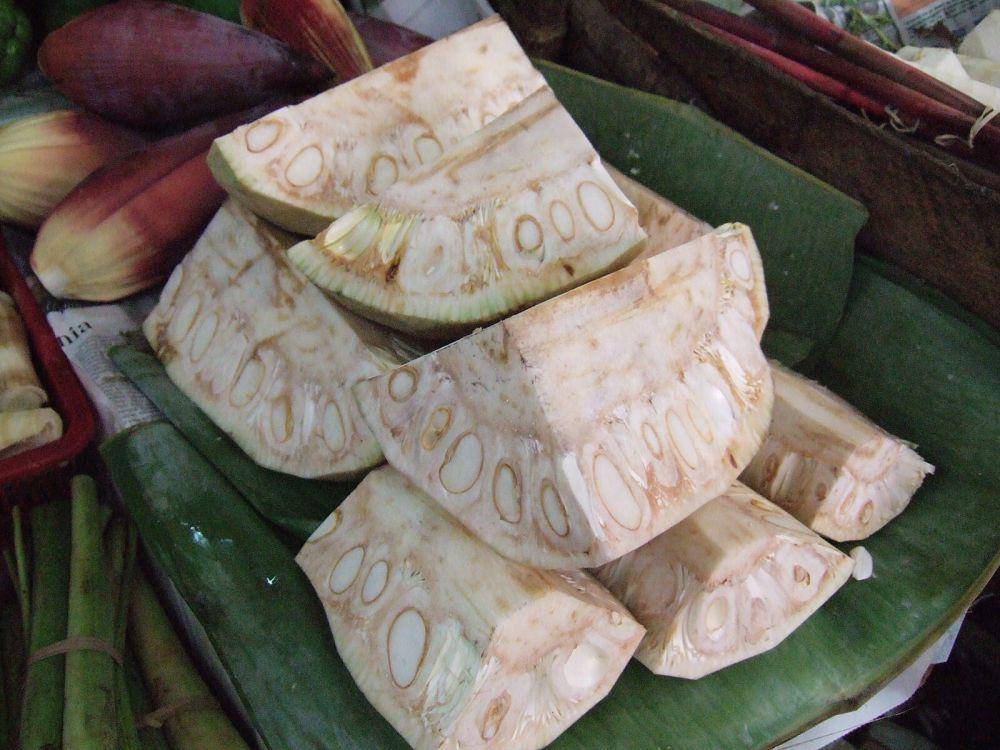 ilustrasi nangka muda (commons.wikimedia.org/Midori)