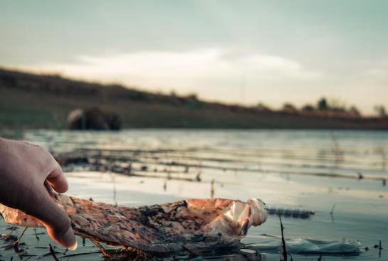 5 Ikan Sungai yang Ternyata Harus Mulai Dihindari
