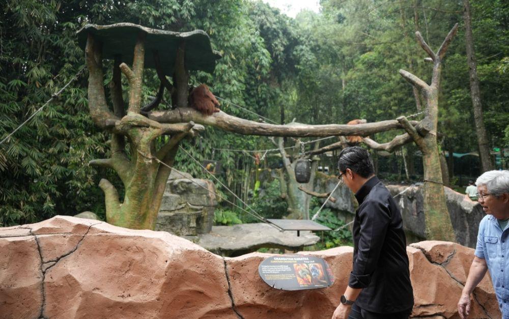 Rico Keliling Taman Safari Minta Masukan untuk Benahi Medan Zoo