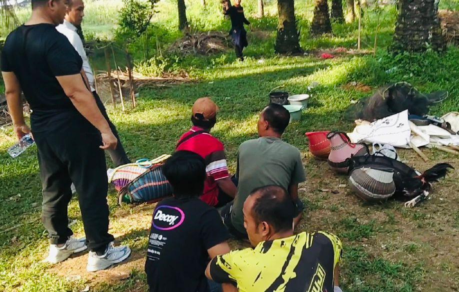 Grebek Judi Sabung Ayam di Lampung Tengah, 5 Warga Ditangkap