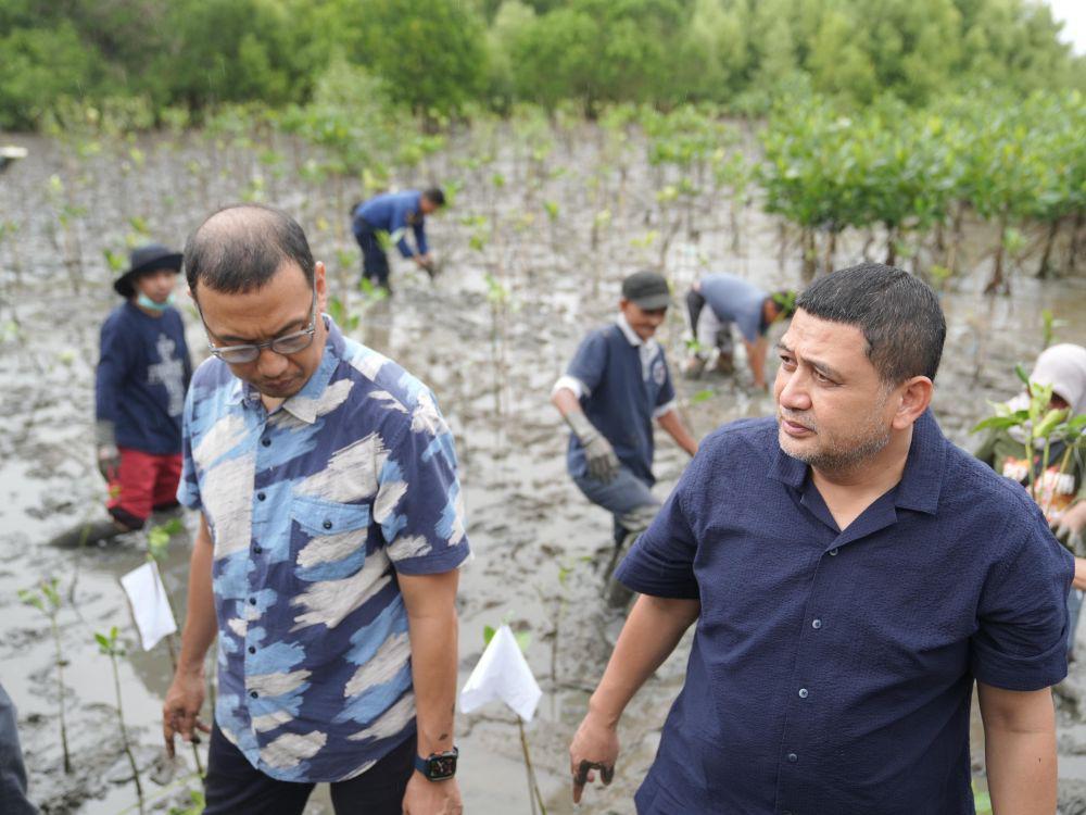 Munafri Tegaskan Peran Mangrove bagi Lingkungan Pesisir Makassar