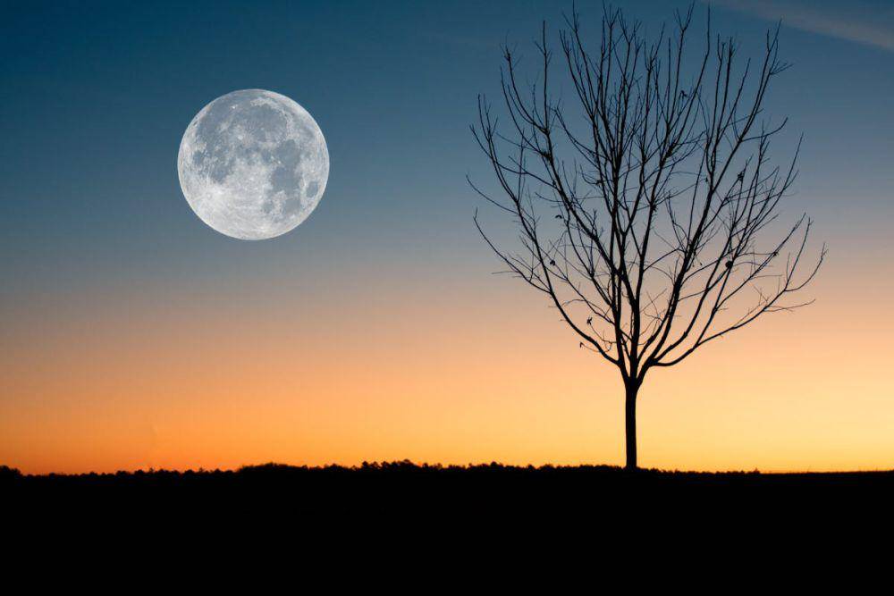 bulan