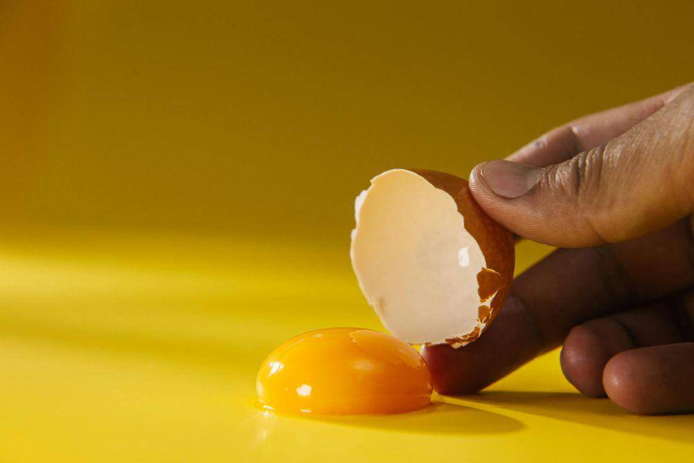 kuning telur (pexels.com/Ron Lach)