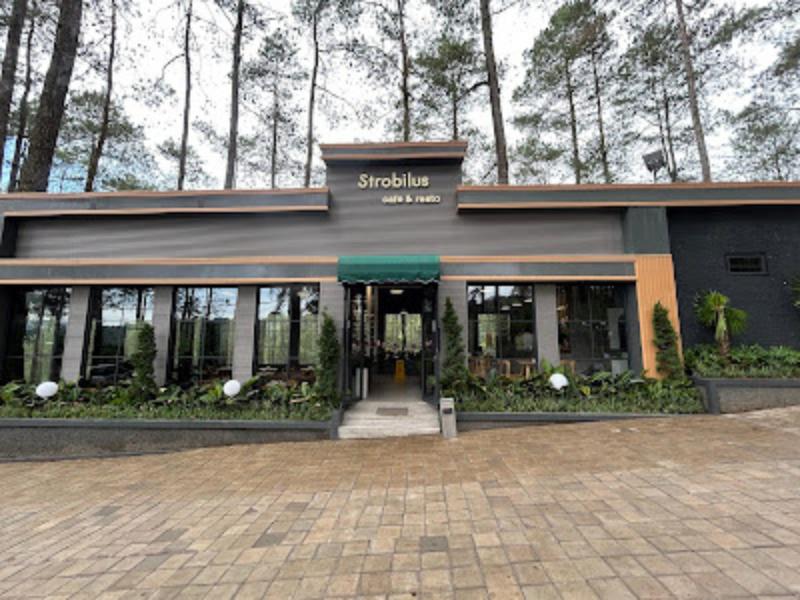 Strobilus Cafe & Resto, Cafe Hidden Gem Nuansa Alam Pinus di Bandung