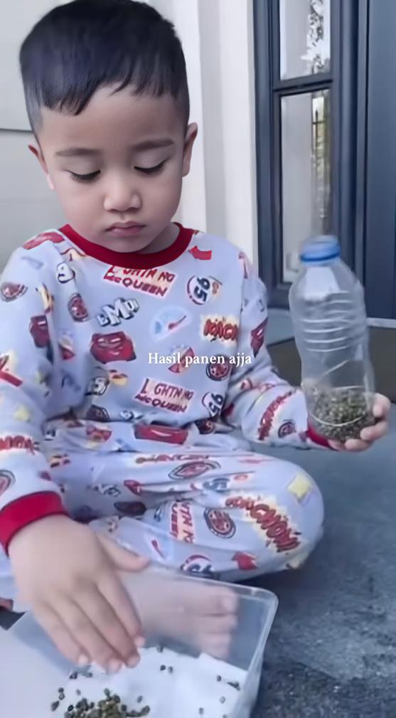 Cipung belajar menanam (instagram.com/videoladygigi)